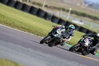 PJ-Motorsport-2019;anglesey-no-limits-trackday;anglesey-photographs;anglesey-trackday-photographs;enduro-digital-images;event-digital-images;eventdigitalimages;no-limits-trackdays;peter-wileman-photography;racing-digital-images;trac-mon;trackday-digital-images;trackday-photos;ty-croes